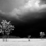 Prima del temporale - Lestans 1963_E0000011_ElioCiol©