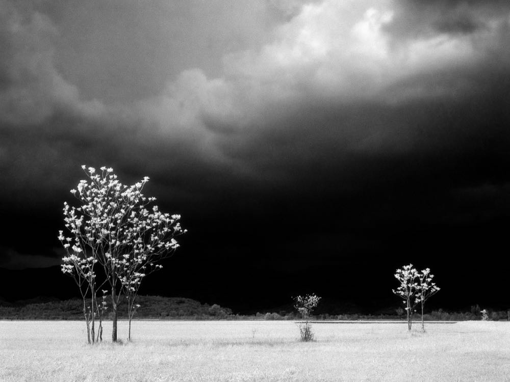Prima del temporale - Lestans 1963_E0000011_ElioCiol©